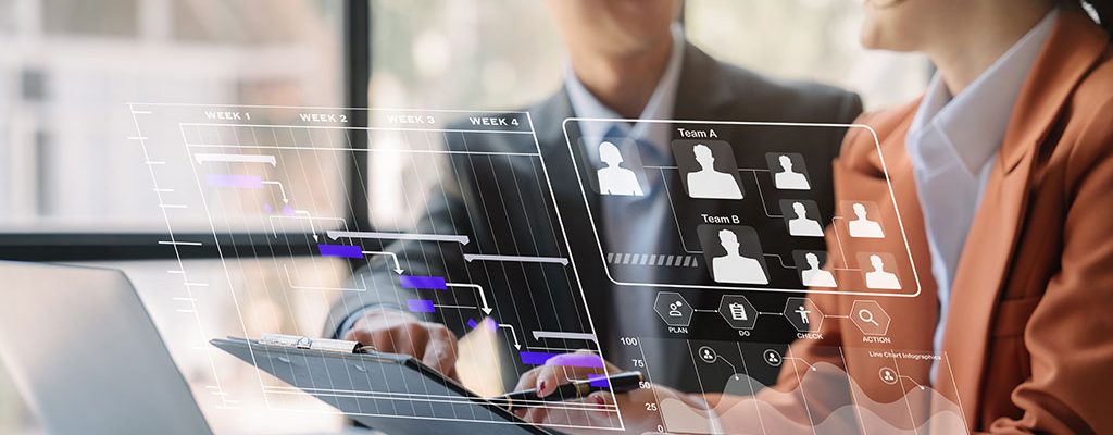 ERP System for Professional Services
